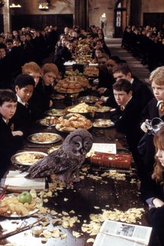 a long table filled with people and an owl