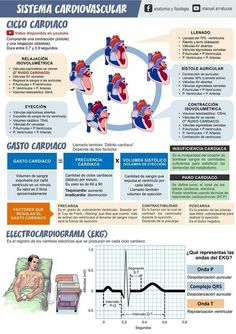 the diagram shows different types of heart valves and their corresponding blood pressures, as well as