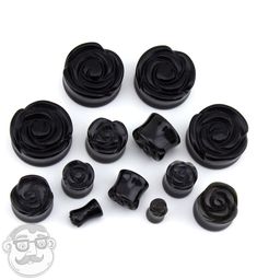 several black roses are shown on a white background