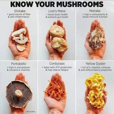 the different types of mushrooms are shown in this poster, which shows how to make them