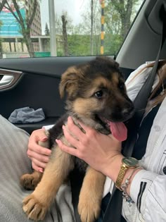 a woman holding a puppy in her lap while sitting in the back seat of a car