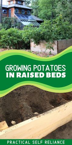 the cover of growing potatoes in raised beds, with text overlay reading growing potatoes in raised beds practical self reliance