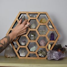 a person holding a rock in front of a wooden hexagonal shelf filled with rocks