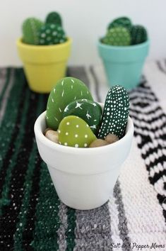 two small pots with green and yellow cacti in them