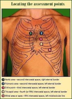 an image of the chest and ribs with different colored eyes