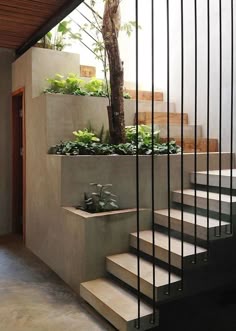 there is a planter on the stairs in this house