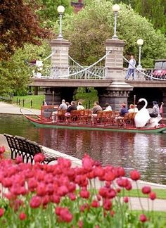 a boat filled with people on top of a river next to a bridge and flowers