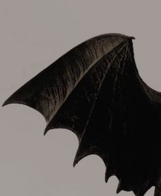 a large black bat flying in the sky