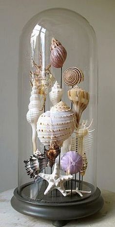 a clochet with shells and seashells in it