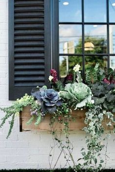 a window box filled with lots of plants next to a brick wall and black shutters