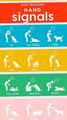 the dog training manual for dogs with instructions on how to use them