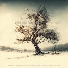 an artistic photo of a tree in the snow