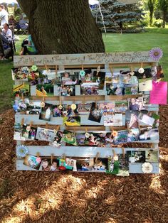 a group of people sitting under a tree next to a sign with pictures on it