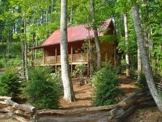 a cabin nestled in the woods surrounded by trees