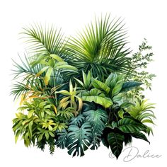 a painting of tropical plants and leaves