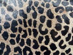 an animal print pattern is shown in black and brown colors on the skin of a leopard