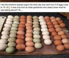 a bunch of eggs sitting on top of a wooden tray next to an egg carton