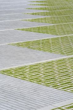 a person with an umbrella is walking down the street in front of some green grass