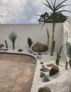 a cactus garden with rocks and cacti on the ground in front of a white wall