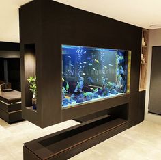 an aquarium in the middle of a living room