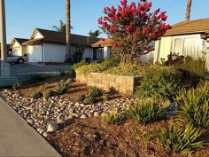 landscaping in front of a house with rocks and plants on the ground near by,