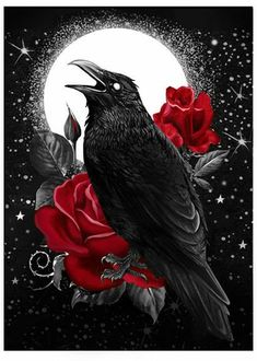 a black bird sitting on top of a red rose in front of a full moon