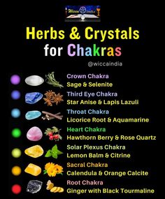 Chakra Sage, Crystal Combinations, Spiritual Aura, Honest Communication, Herbal Magic For Wiccans, Hawthorn Berry