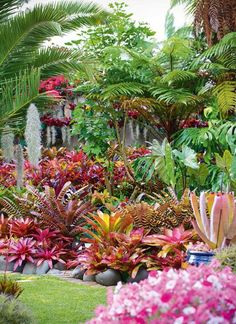 the garden is full of colorful flowers and plants, including succulents and palm trees