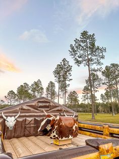 an inflatable bed with two steer heads on it and trees in the background