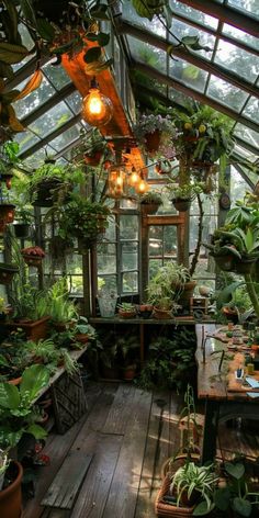 a room filled with lots of potted plants inside of a glass roofed building