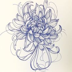 November Birth Flower Tattoo Sketch Collection Chinese Chrysanthemum Tattoo, November Birth Flower Tattoo Chrysanthemums, November Flower Tattoo Chrysanthemums, November Tattoo Ideas, November Flower Tattoo, November Tattoo, November Birth Flower Tattoo, Narcissus Flower Tattoo, Narcissus Flower Tattoos