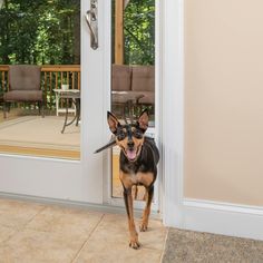 a dog standing in front of a door with its mouth open