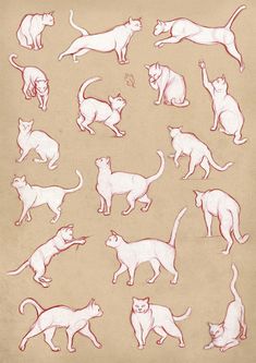 a drawing of cats in various poses and positions