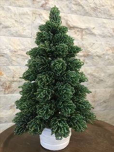 a small pine tree sitting on top of a wooden table