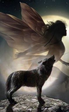 a wolf standing on top of a rock next to an angel