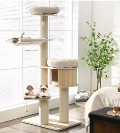 Explore the top cat condo designs guaranteed to spoil your furry friend! Discover stylish and cozy options that provide comfort and joy for your beloved pet. 🐱💖 #CatCondo #PetFurniture #CatLovers Wooden Cat Tree, Cool Cat Trees, Condo Furniture, Cat Towers, Cat Tree Condo, Cat Trees