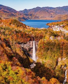 a waterfall in the middle of a forest filled with trees and mountains behind it is surrounded by fall foliage