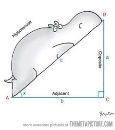 a drawing of a whale laying on top of a pillow with the measurements below it