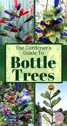 the gardener's guide to bottle trees