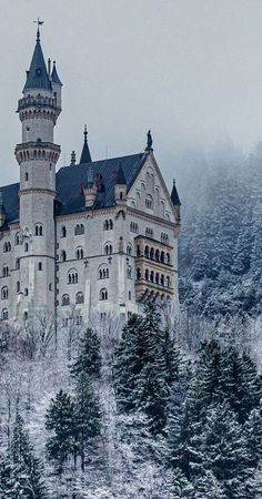 an old castle is surrounded by snow covered trees