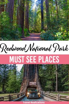 the redwood national park must see places