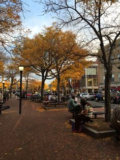 people are sitting on benches in the middle of a park with trees and buildings behind them