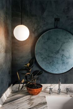 a bathroom sink with a round mirror above it and a plant in the bowl on the counter