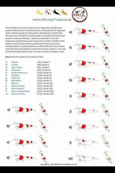 the instructions for how to do an exercise with horse legs and feet, including horses