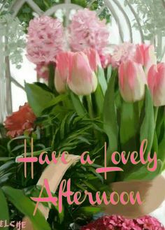 pink flowers are in a vase with the words have a lovely afternoon