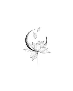 a black and white drawing of a lotus flower with the moon in the sky behind it