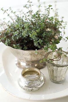 two silver vases with plants in them on a plate