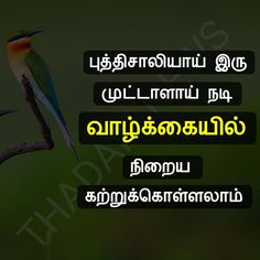 a bird sitting on top of a tree branch with the words in two languages above it