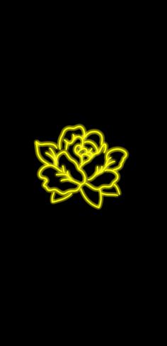 a yellow flower on a black background