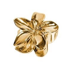 This stylish flower shaped hair clip captures the spirit of tropical paradise, adding a perfect touch of floral charm to your look 🌼 Size: 8*4cm/ 3.1*1.6 in Claw Clips Aesthetic, Hair Clips 90s, Flower Hair Claw, Y2k Hair, 90s Hairstyles, Hair Claw Clip, Hibiscus Flower, Gold Flower, Flower Hair Clips